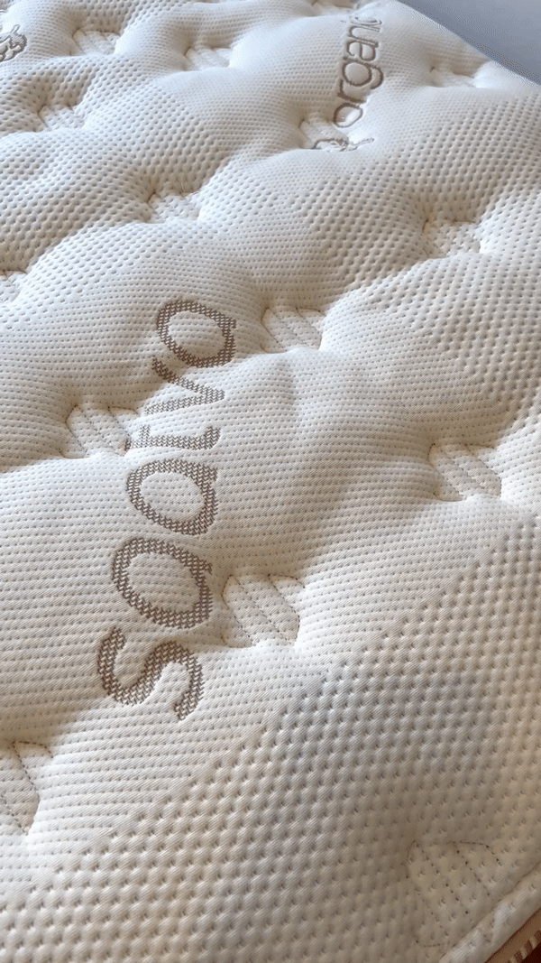 August's Best Buys: Fall Decor &amp; Cozy Outfit Inspo